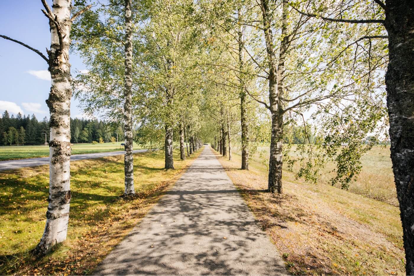 Vastauksia alkoholismiin: Loma loppuu – miten katkaista juominen?